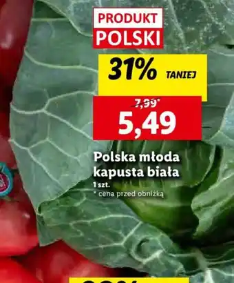 Lidl Polska młoda kapusta biała 1szt. oferta