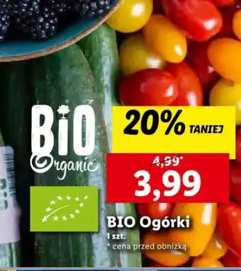 Lidl BIO Ogórki 1szt. oferta