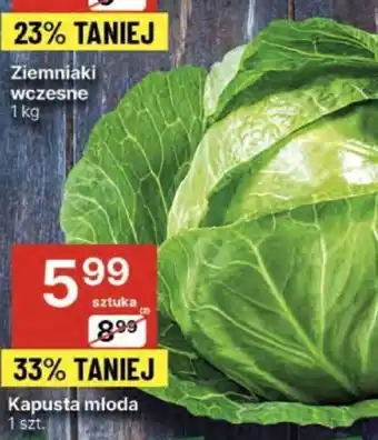 Delikatesy Centrum Kapusta młoda 1 szt. oferta