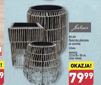 ALDI Doniczka Belavi oferta