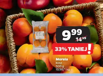 Netto Morela oferta