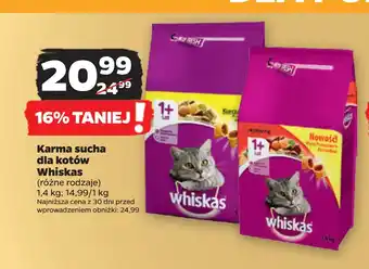 Netto Karma sucha dla kotów Whiskas oferta