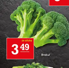 Brokuł