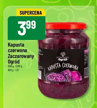 Polomarket Kapusta czerwona Zaczarowany ogród oferta