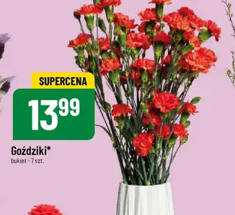 Polomarket Goździki 7szt. oferta