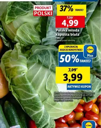 Lidl Polska młoda kapusta biała 1szt, oferta