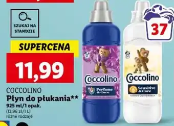 Lidl COCCOLINO Płyn do płukania 925ml oferta