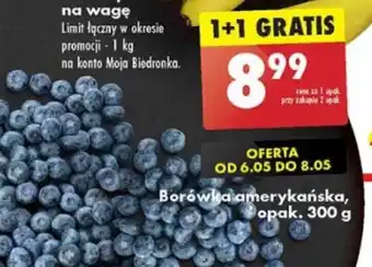 Biedronka Borówka amerykańska 300g oferta