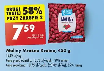 Biedronka Maliny mrożone Mroźna kraina oferta