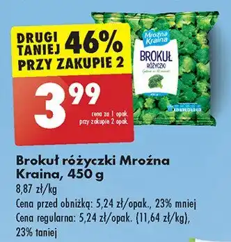 Biedronka Brokuł różyczki Mroźna kraina oferta