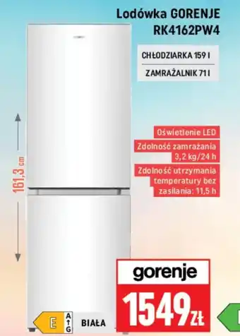 Neopunkt Lodówka Gorenje oferta