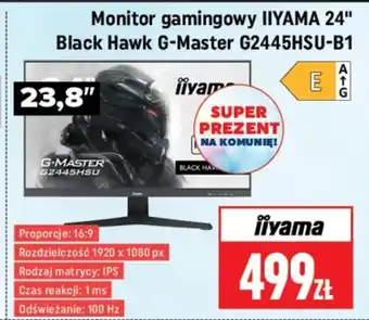 Neopunkt Monitor Iiyama oferta