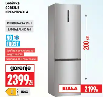 Neopunkt Lodówka Gorenje oferta