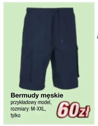 KiK Bermudy męskie oferta