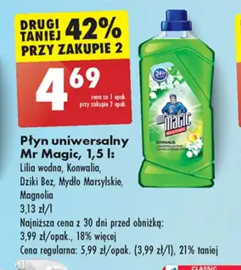 Biedronka Płyn uniwersalny Mr Magic oferta