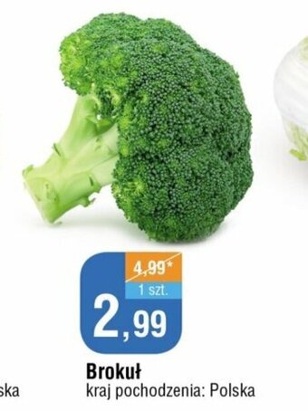 E.Leclerc Brokuł oferta