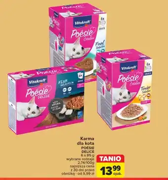 Carrefour Karma dla kota Vitakraft oferta