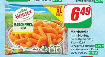 Dino Marchewka mini Hortex oferta