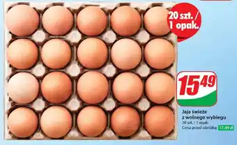 Dino Jaja z wolnego wybiegu kl. m oferta