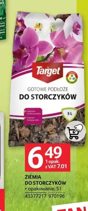 Selgros Ziemia Target oferta