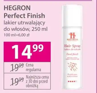 Hebe Lakier do włosów oferta