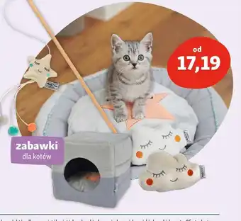 Maxi Zoo Zabawki dla kota oferta