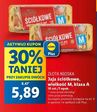 Lidl Jaja Złota nioska oferta