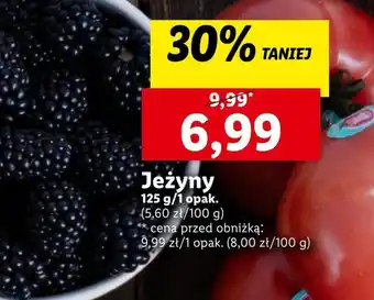 Lidl Jeżyny oferta