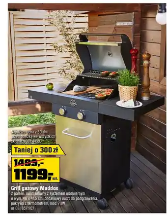 OBI Grill oferta