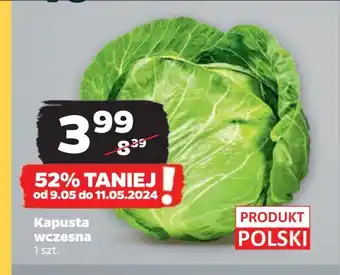 Netto Kapusta wczesna polska oferta