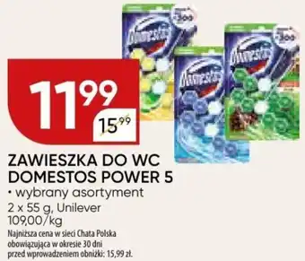 Chata Polska ZAWIESZKA DO WC DOMESTOS POWER 5 2 x 55 g oferta