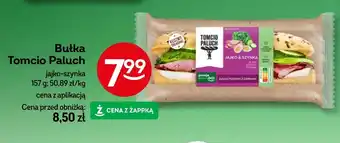 Żabka Paluch Tomcio Paluch oferta