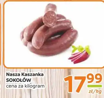 Gama Kaszanka Sokołów oferta