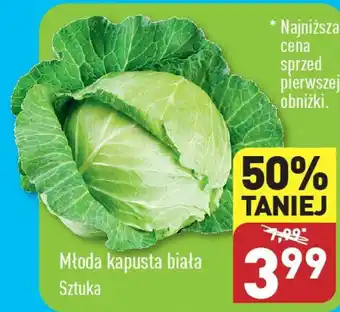 ALDI Młoda kapusta biała oferta