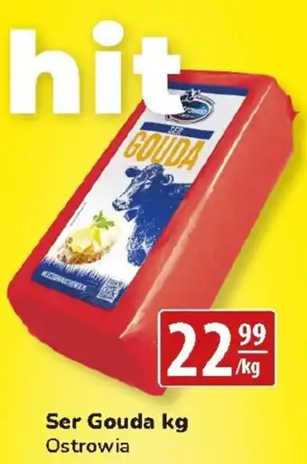 API MARKET Ser Ostrowia oferta