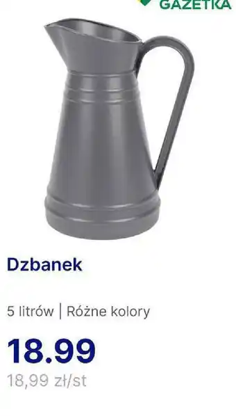 Action Dzbanek oferta