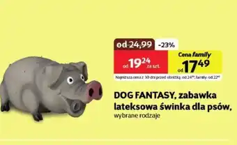 Kakadu Zabawka dla psa Dog Fantasy oferta