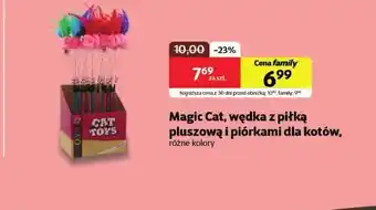 Kakadu Wędka dla kota Magic cat oferta