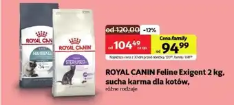 Kakadu Karma dla kota Royal Canin oferta