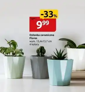 Black Red White Osłonka oferta