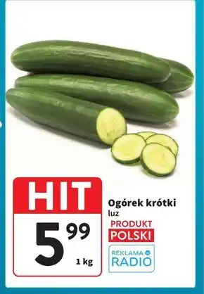 Intermarche Ogórek Hit oferta