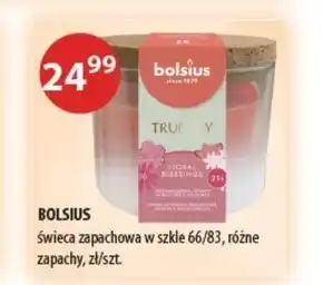 Drogerie Laboo Świeca zapachowa Bolsius oferta