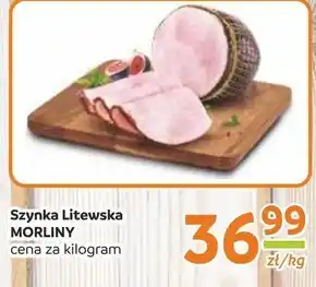 Gama Szynka Morliny oferta