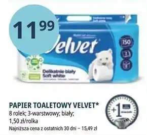 Stokrotka Market Velvet Delikatnie Biały Papier toaletowy 8 rolek oferta