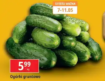 E.Leclerc Ogórki gruntowe 1 kg oferta