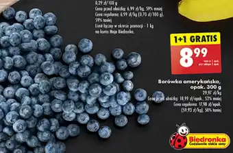 Biedronka Borówka amerykańska 300g oferta