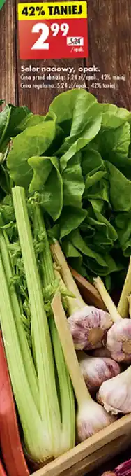 Biedronka Seler naciowy oferta