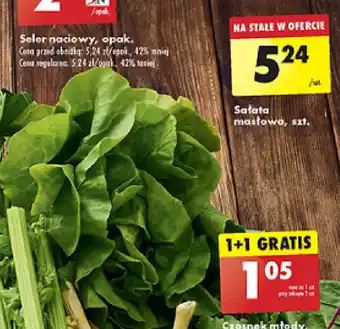 Biedronka Sałata masłowa szt. oferta