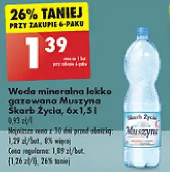 Biedronka Woda mineralna lekko gazowana Muszyna Skarb Życia 6x1,5l oferta