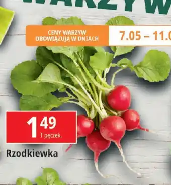 E.Leclerc Rzodkiewka oferta